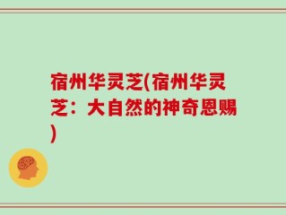 宿州华灵芝(宿州华灵芝：大自然的神奇恩赐)