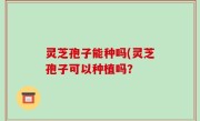 灵芝孢子能种吗(灵芝孢子可以种植吗？