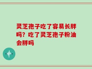灵芝孢子吃了容易长胖吗？吃了灵芝孢子粉油会胖吗