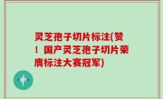 灵芝孢子切片标注(赞！国产灵芝孢子切片荣膺标注大赛冠军)