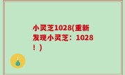 小灵芝1028(重新发现小灵芝：1028！)