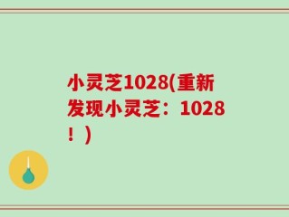 小灵芝1028(重新发现小灵芝：1028！)