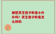 破壁灵芝孢子粉是小片片吗？灵芝孢子粉是怎么样的