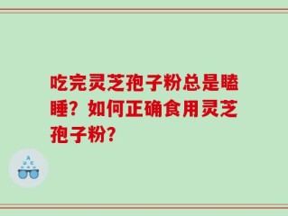 吃完灵芝孢子粉总是瞌睡？如何正确食用灵芝孢子粉？