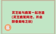 灵芝能与鹿茸一起泡酒(灵芝鹿茸同泡，开启醇香美味之旅)
