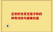 正宗野生灵芝孢子粉的神奇功效与健康价值