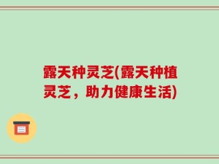 露天种灵芝(露天种植灵芝，助力健康生活)
