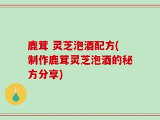 鹿茸 灵芝泡酒配方(制作鹿茸灵芝泡酒的秘方分享)
