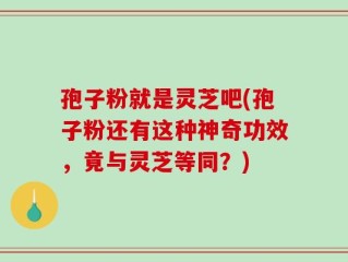 孢子粉就是灵芝吧(孢子粉还有这种神奇功效，竟与灵芝等同？)