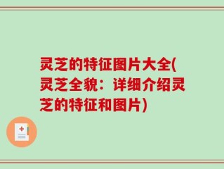 灵芝的特征图片大全(灵芝全貌：详细介绍灵芝的特征和图片)