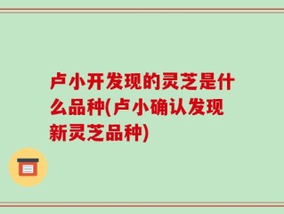 卢小开发现的灵芝是什么品种(卢小确认发现新灵芝品种)