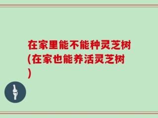 在家里能不能种灵芝树(在家也能养活灵芝树)