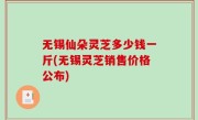 无锡仙朵灵芝多少钱一斤(无锡灵芝销售价格公布)