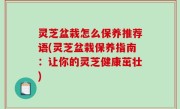 灵芝盆栽怎么保养推荐语(灵芝盆栽保养指南：让你的灵芝健康茁壮)