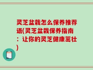 灵芝盆栽怎么保养推荐语(灵芝盆栽保养指南：让你的灵芝健康茁壮)