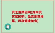 灵芝湘菜团购(湖南灵芝菜团购：品尝地道湘菜，尽享健康美食)