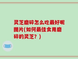 灵芝磨碎怎么吃最好呢图片(如何最佳食用磨碎的灵芝？)
