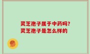 灵芝孢子属于中药吗？灵芝孢子是怎么样的