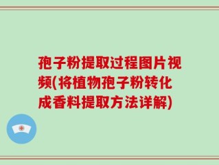 孢子粉提取过程图片视频(将植物孢子粉转化成香料提取方法详解)