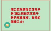 蒲公英发酵加灵芝孢子粉(蒲公英和灵芝孢子粉的双重压榨：有效的健康卫士)