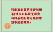 铁皮石斛灵芝浸膏与绿茶(铁皮石斛灵芝浸膏与绿茶的配对可能有意想不到的效果)