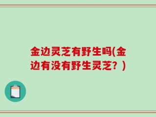 金边灵芝有野生吗(金边有没有野生灵芝？)