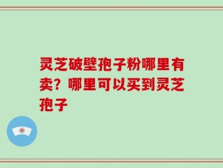 灵芝破壁孢子粉哪里有卖？哪里可以买到灵芝孢子