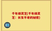 千年绿灵芝(千年绿灵芝：长生不老的秘密)