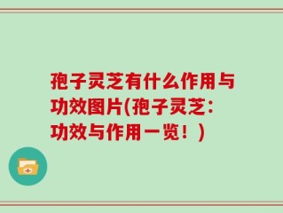 孢子灵芝有什么作用与功效图片(孢子灵芝：功效与作用一览！)