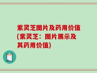 紫灵芝图片及药用价值(紫灵芝：图片展示及其药用价值)