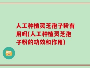 人工种植灵芝孢子粉有用吗(人工种植灵芝孢子粉的功效和作用)
