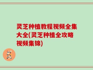 灵芝种植教程视频全集大全(灵芝种植全攻略视频集锦)
