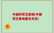 中国种灵芝基地(中国灵芝基地重见天日)