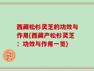 西藏松杉灵芝的功效与作用(西藏产松杉灵芝：功效与作用一览)