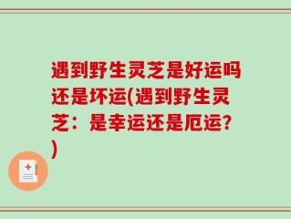 遇到野生灵芝是好运吗还是坏运(遇到野生灵芝：是幸运还是厄运？)