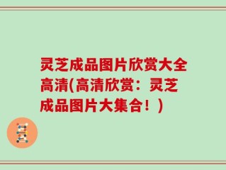 灵芝成品图片欣赏大全高清(高清欣赏：灵芝成品图片大集合！)