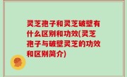 灵芝孢子和灵芝破壁有什么区别和功效(灵芝孢子与破壁灵芝的功效和区别简介)