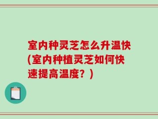 室内种灵芝怎么升温快(室内种植灵芝如何快速提高温度？)