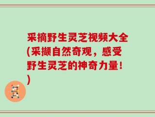 采摘野生灵芝视频大全(采撷自然奇观，感受野生灵芝的神奇力量！)