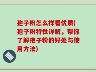 孢子粉怎么样看优质(孢子粉特性详解，帮你了解孢子粉的好处与使用方法)