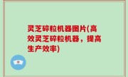 灵芝碎粒机器图片(高效灵芝碎粒机器，提高生产效率)