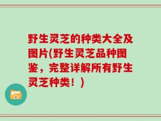 野生灵芝的种类大全及图片(野生灵芝品种图鉴，完整详解所有野生灵芝种类！)