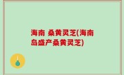 海南 桑黄灵芝(海南岛盛产桑黄灵芝)