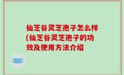 仙芝谷灵芝孢子怎么样(仙芝谷灵芝孢子的功效及使用方法介绍