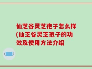 仙芝谷灵芝孢子怎么样(仙芝谷灵芝孢子的功效及使用方法介绍
