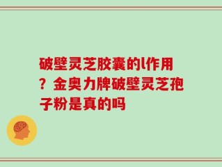 破壁灵芝胶囊的l作用？金奥力牌破壁灵芝孢子粉是真的吗