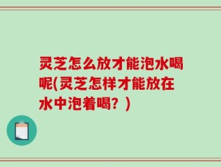 灵芝怎么放才能泡水喝呢(灵芝怎样才能放在水中泡着喝？)