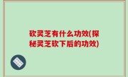 砍灵芝有什么功效(探秘灵芝砍下后的功效)