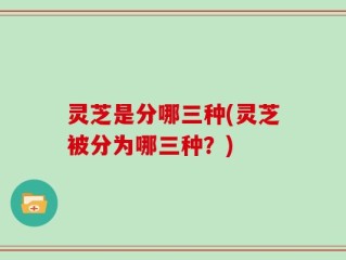灵芝是分哪三种(灵芝被分为哪三种？)