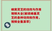 蜂窝灵芝的功效与作用视频大全(解读蜂巢灵芝的各种功效和作用，视频全集荟萃)